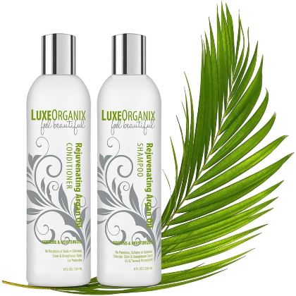 LuxeOrganix Moroccan Argan Oil Shampoo - Best Shampoo For Colored Hair